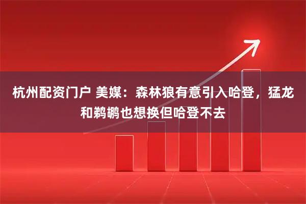 杭州配资门户 美媒：森林狼有意引入哈登，猛龙和鹈鹕也想换但哈登不去